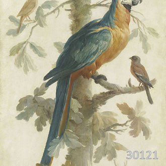 Птицы и хищник