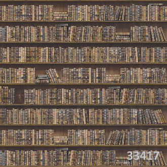 Книги на полке