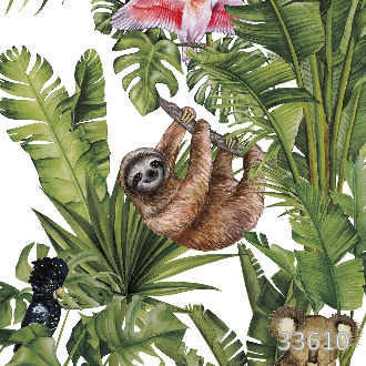 Звери в тропиках