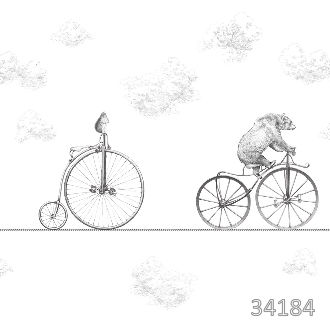 Bicycles