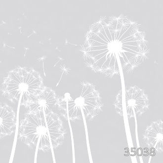 Летнее утро