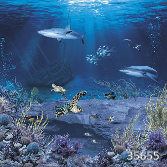 Ритмы океана